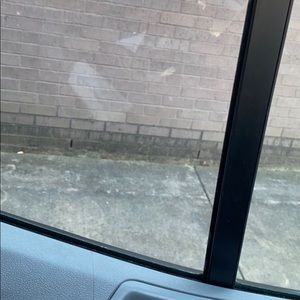 Meet your Posher, Ebony